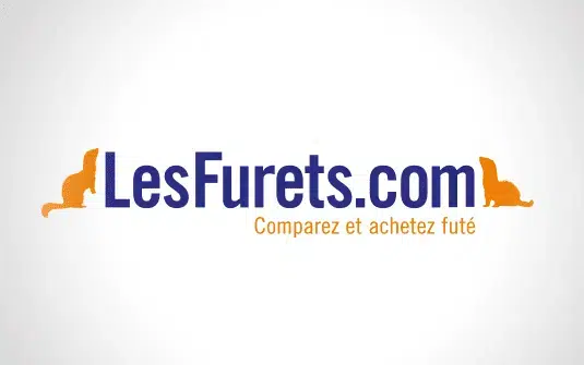 les furets.com logo 2